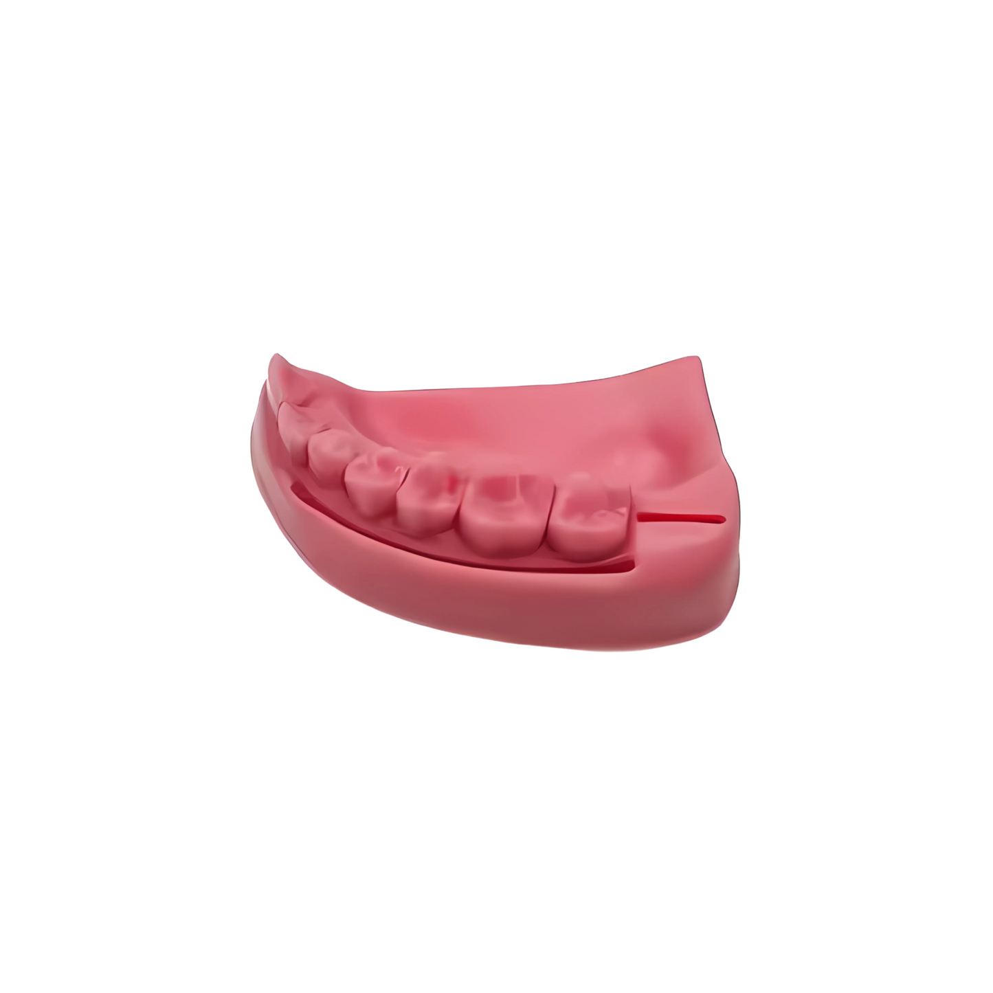 Piel sintética para sutura (arcada dental)