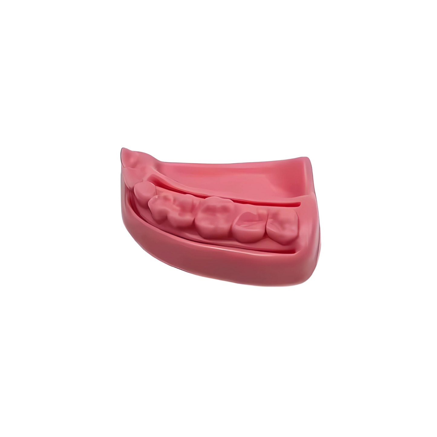 Piel sintética para sutura (arcada dental)