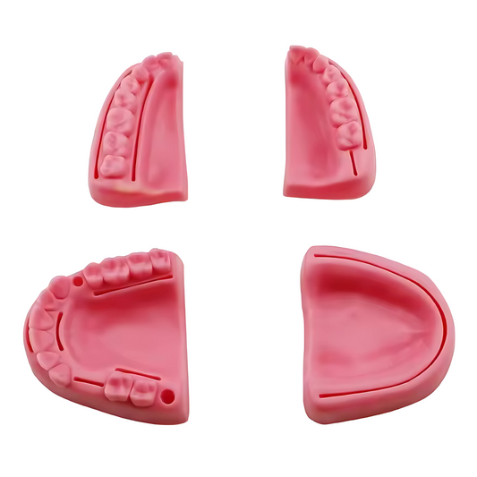 Piel sintética para sutura (arcada dental)