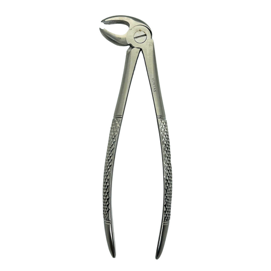 Forcep adulto curvo sobre el borde (loro) INFERIOR 22