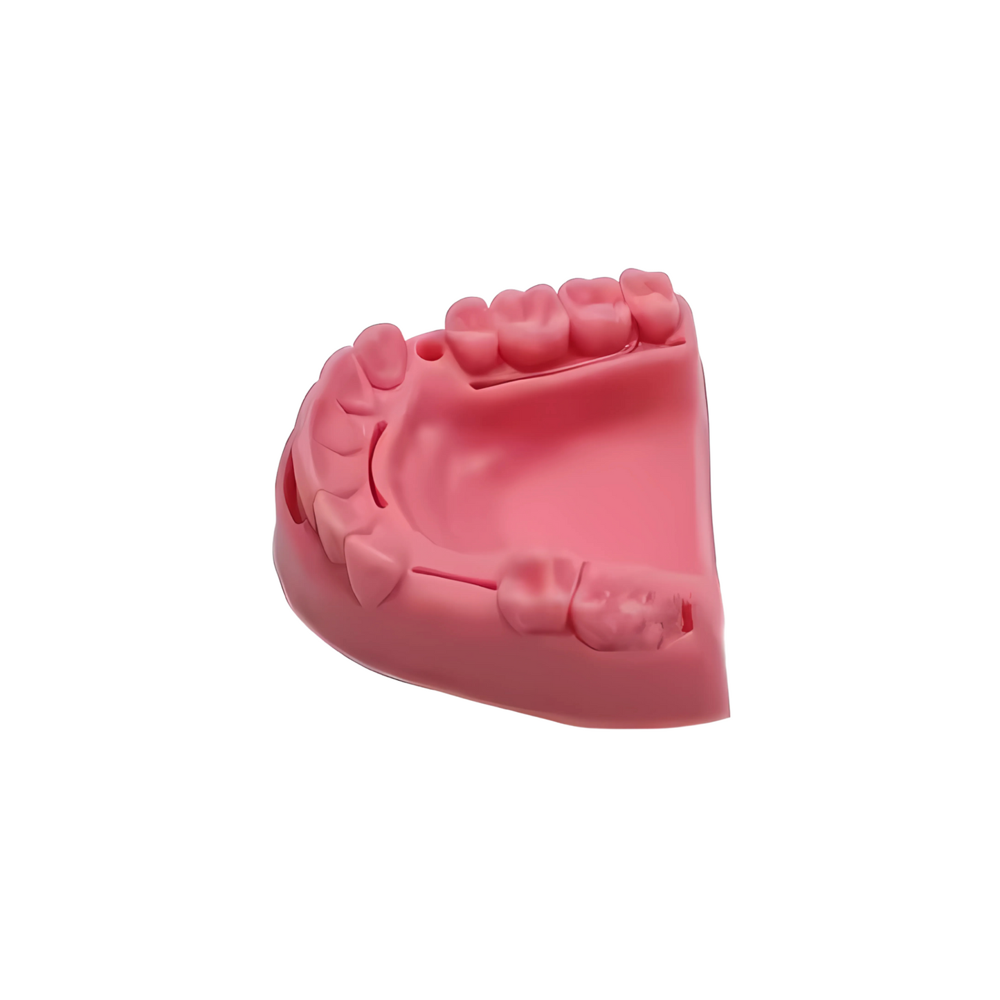Piel sintética para sutura (arcada dental)